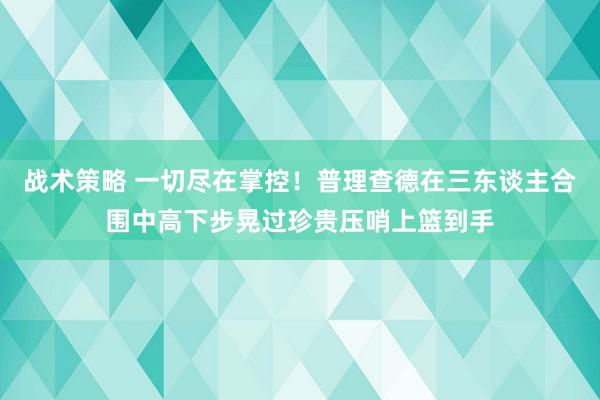 战术策略 一切尽在掌控！普理查德在三东谈主合围中高下步晃过珍