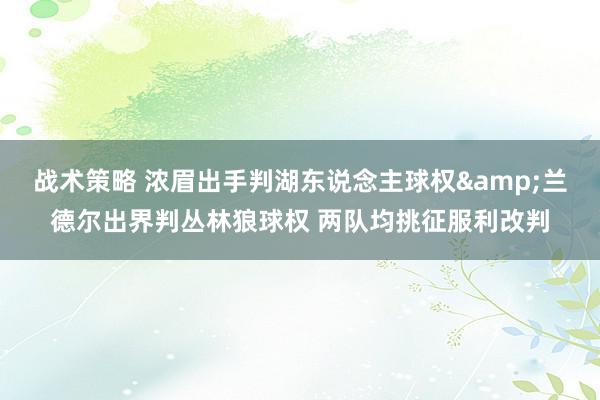 战术策略 浓眉出手判湖东说念主球权&兰德尔出界判丛林狼球权 两队均挑征服利改判