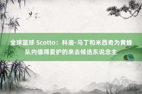 全球篮球 Scotto：科迪-马丁和米西奇为黄蜂队内值得爱护