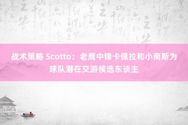 战术策略 Scotto：老鹰中锋卡佩拉和小南斯为球队潜在交游